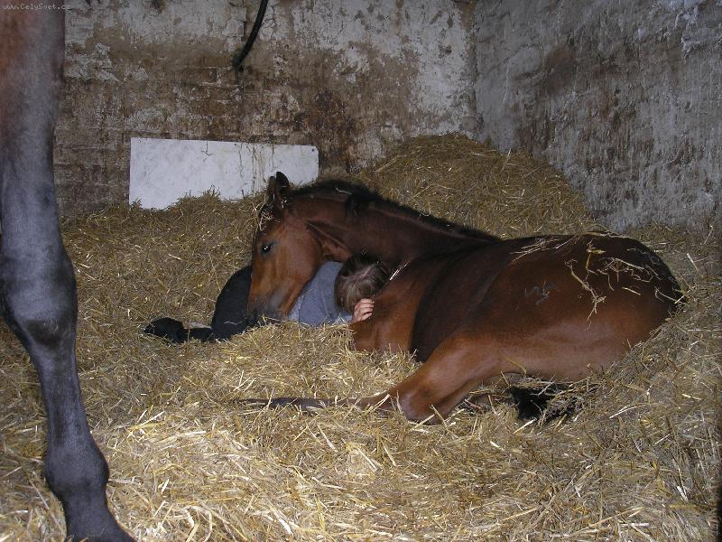 Foto: Filip�nka-Kr�sn� span�