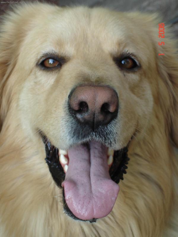 Foto: Portr�t-Enji