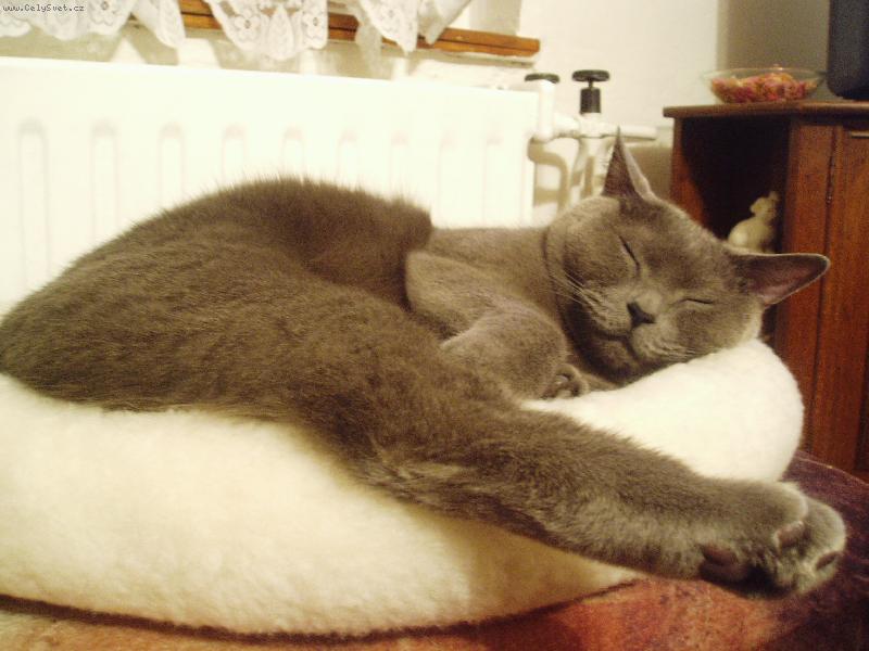 Foto: Ton�nek-pohoda,kl�dek,tab��ek:-)