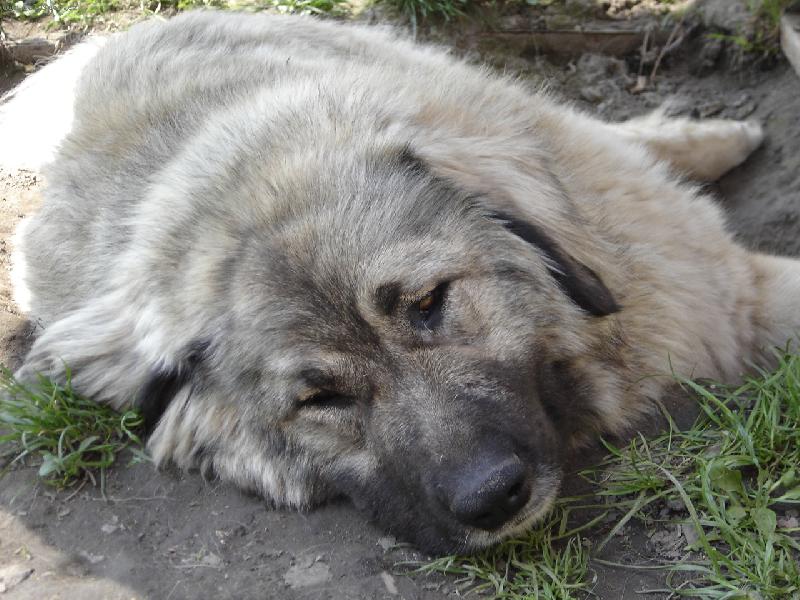 Foto: JARN� �NAVA :-))