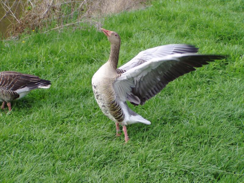 Foto: Mus�m se prot�hnout