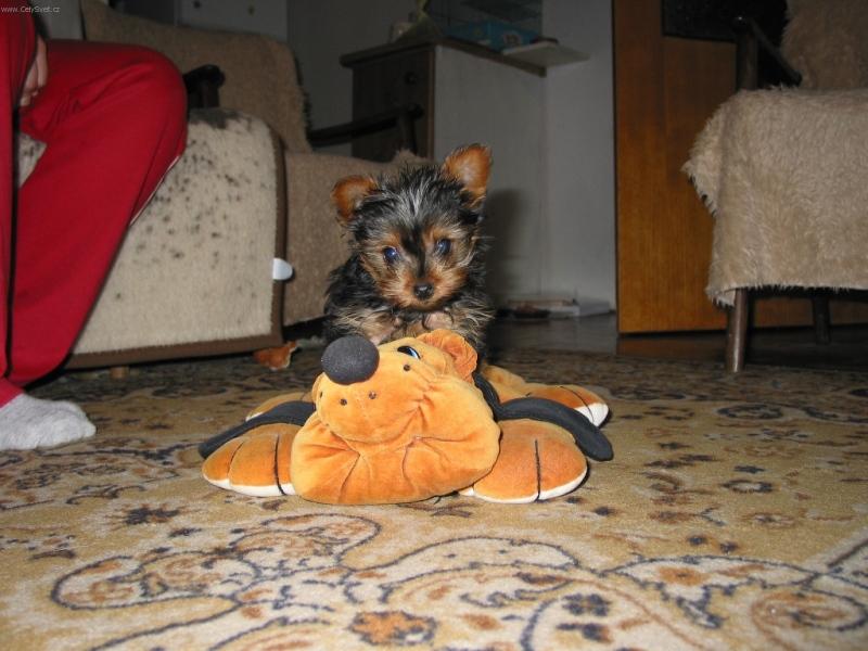 Foto: Jork��rek Nelinka-Kter� z n�s je prav�?