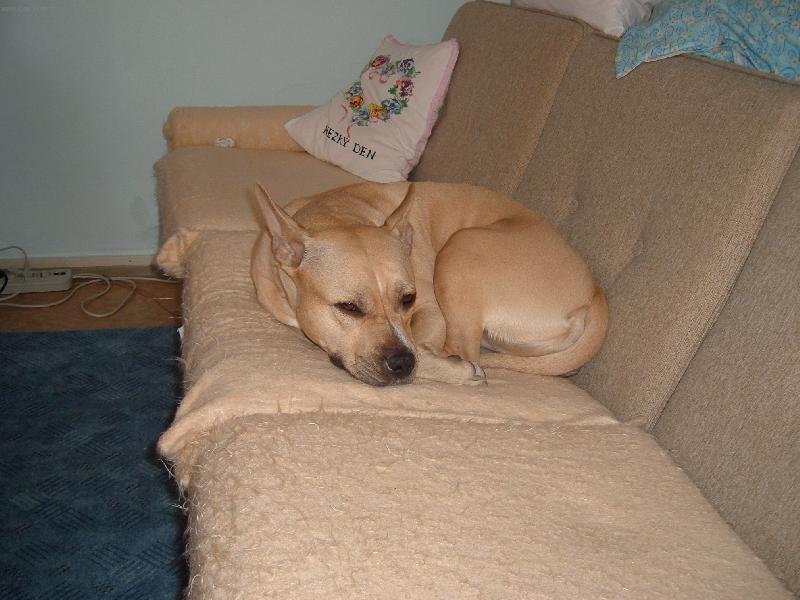 Foto: RAK�A-KONE�N� KLID