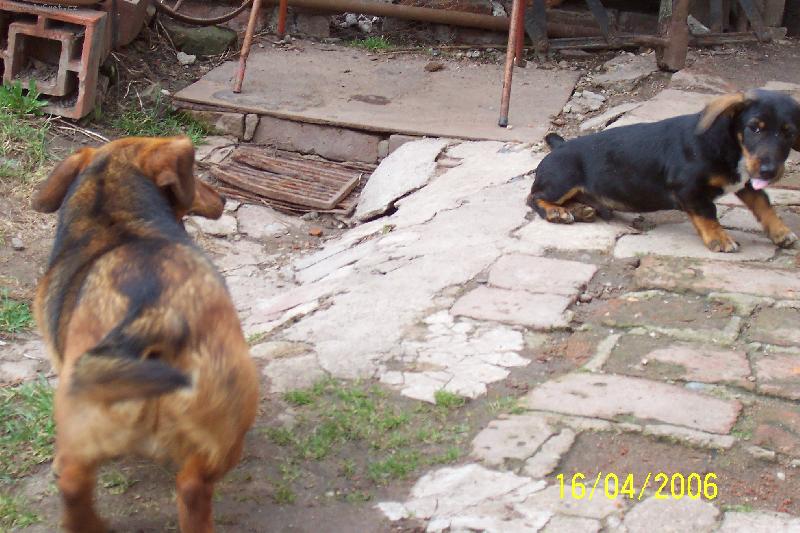 Foto: Vyplazuje jazyk-Bro�ek a Ajax