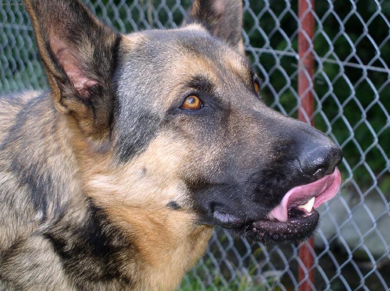 Foto: Milo��v Andy-N�co bych si dal...