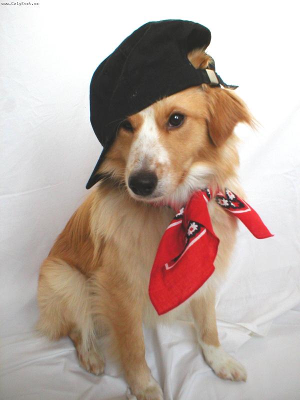 Foto: Model-P�zov�n� m� bav� od mali�ka,i kdy� jsem jen vo�ech.