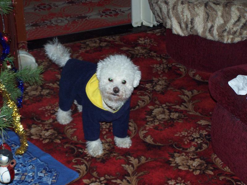 Foto: n� mil��ek-Bi�onek Kenny