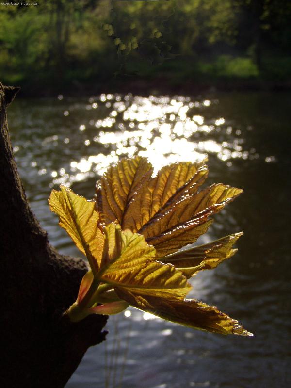 Foto: Roz��en� Jasan