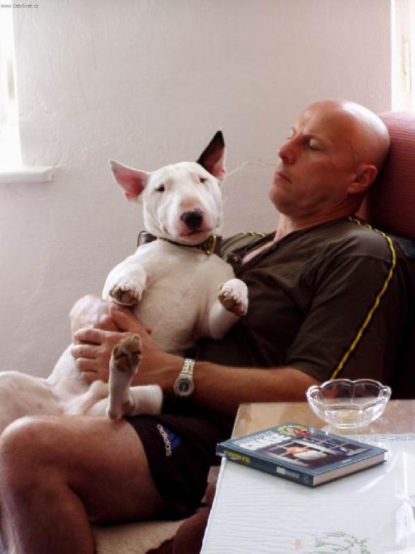 Foto: Hlavy rodiny-no comment