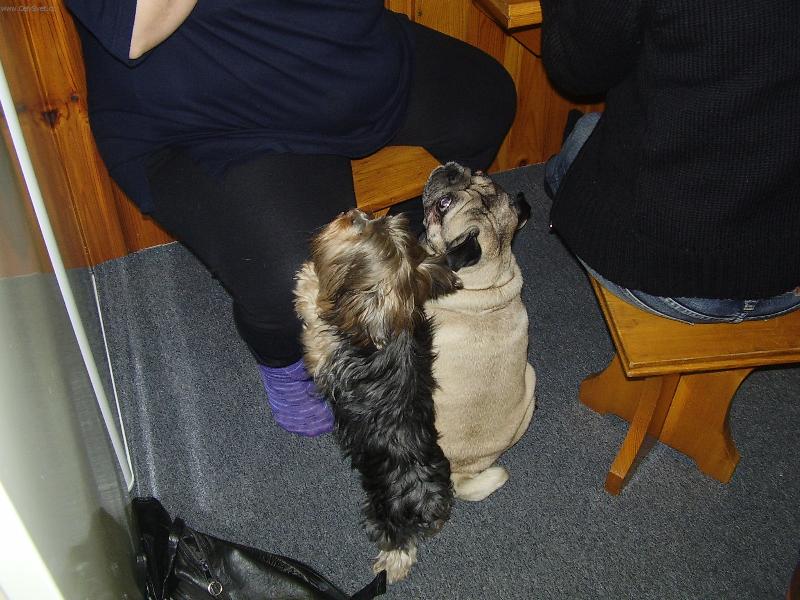 Foto: DEJ N�M-M�J KAMATR�D DENNY