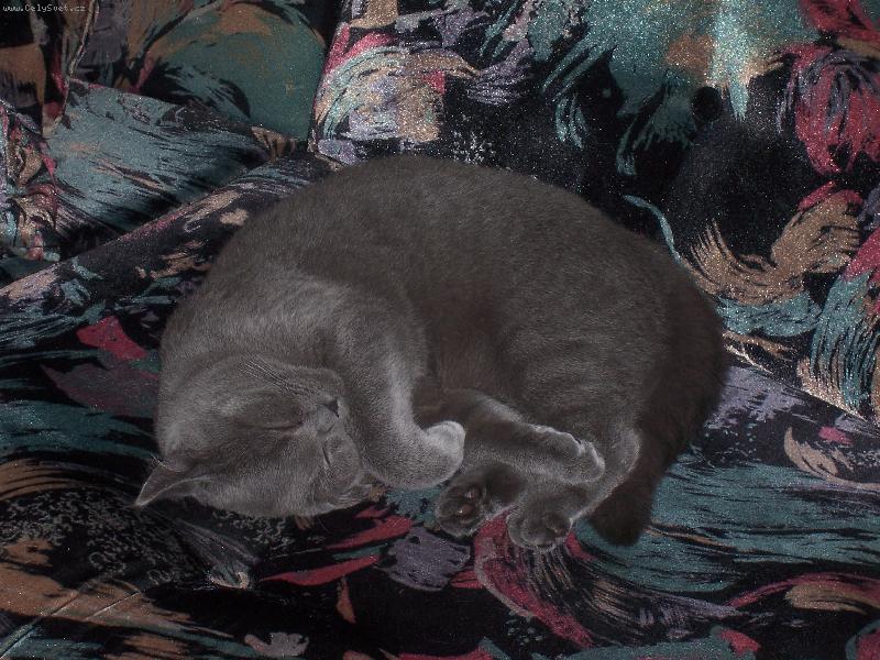 Foto: Am�lka-nejlep�� je, kdy� jsou v�ichni v pr�ci...