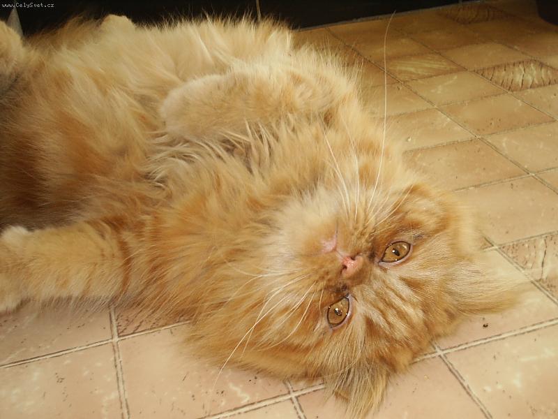 Foto: Max��ek-odpo��v�m