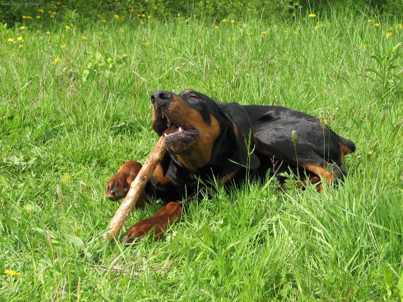 Foto: Moje obl�ben� �innost na proch�zce