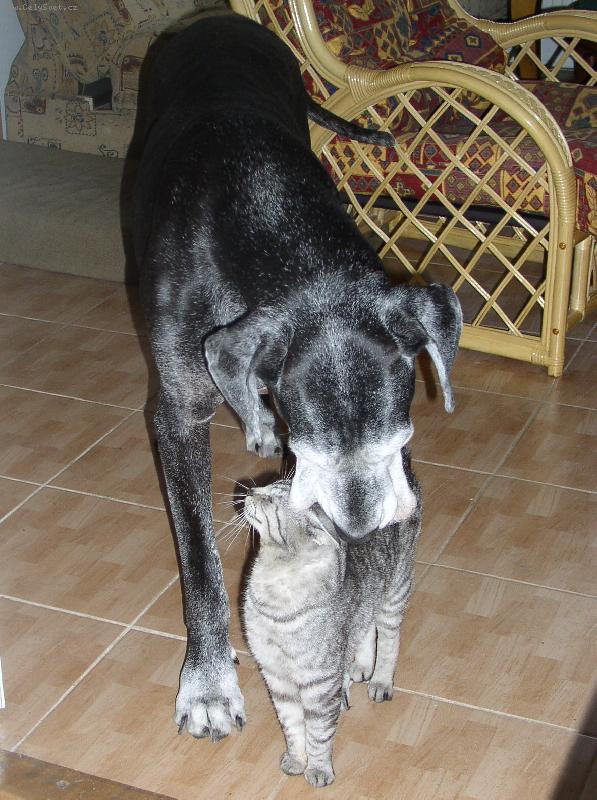 Foto: jsme oba �ediv�