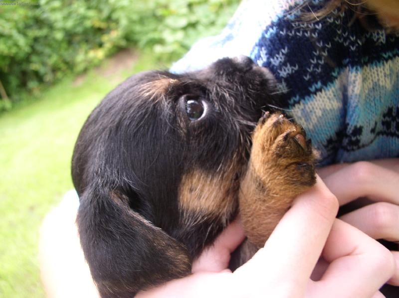 Foto: Max�k-mil�ek