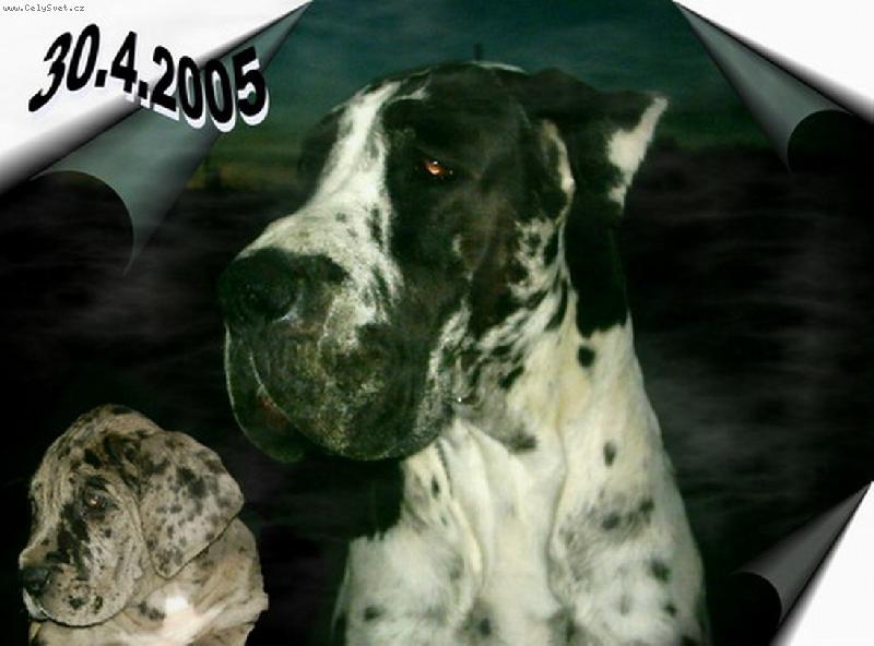 Foto: Maminka a dcera