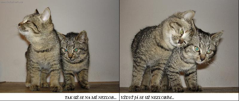 Foto: Tak u� se na m� nezlob...