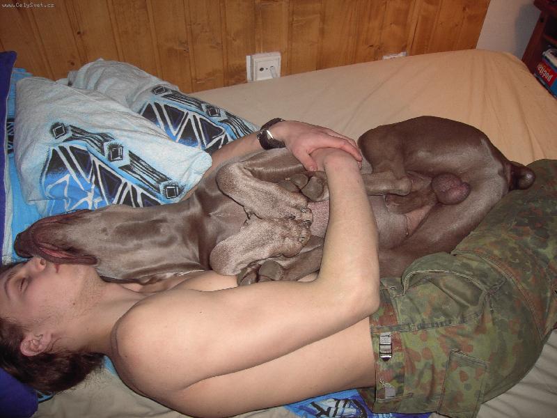 Foto: spanek-jak spim sesvim psem armim
