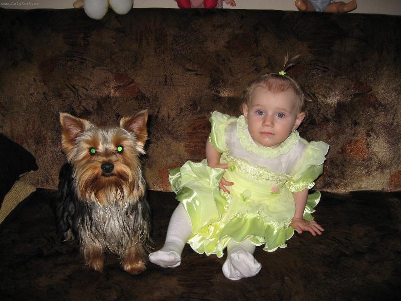 Foto: Pluto a jeho k�mo�ka nete� Anetka