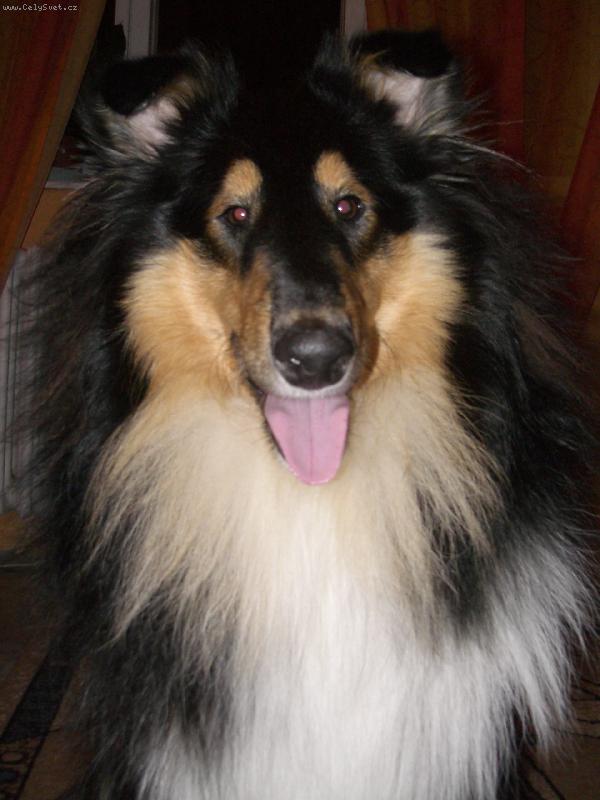 Foto: Ulvar black Vermiko-:-)