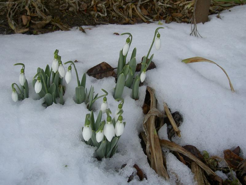 Foto: U� to nebude dlouho trvat a budeme tu zase