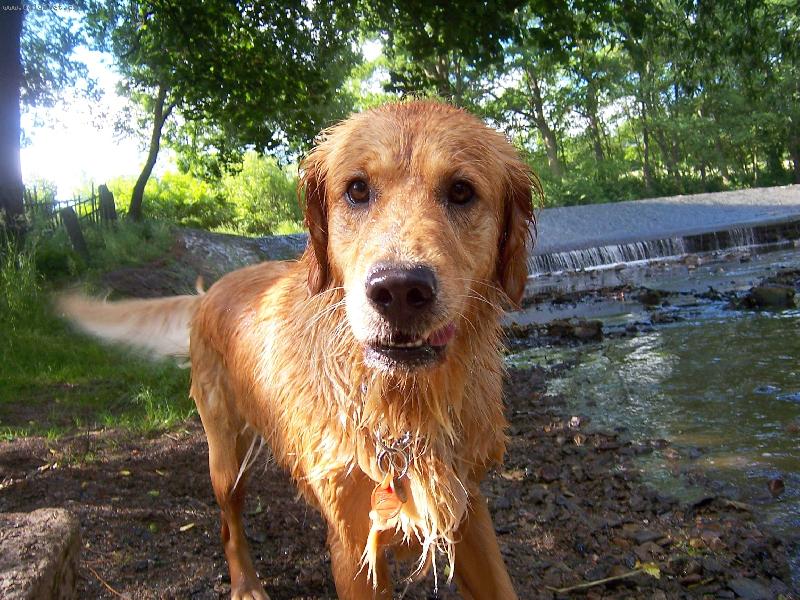 Foto: m� ru�n�k?