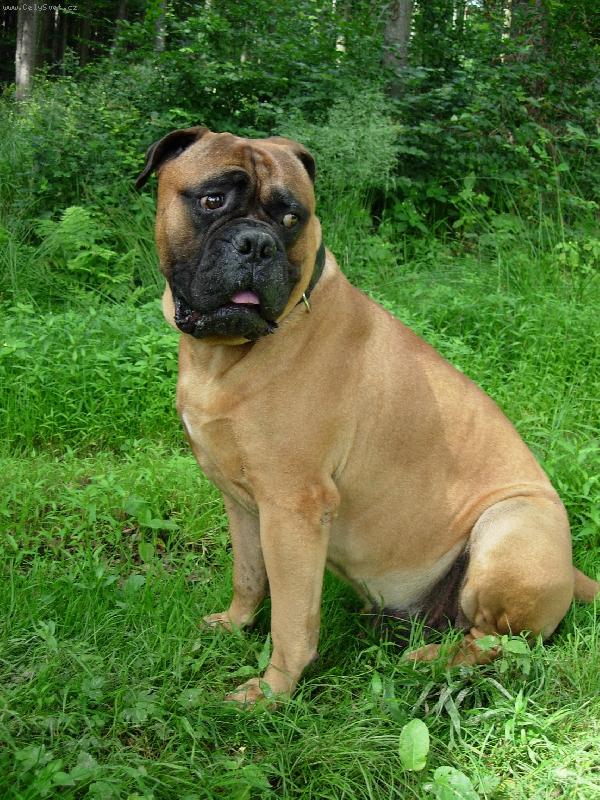 Foto: Costa Str�nick� r�j-Drobe�ek