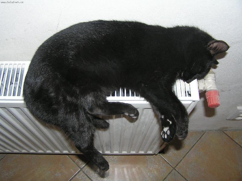 Foto: Spanek je spanek