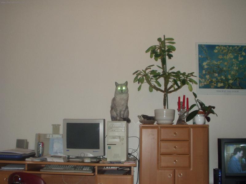 Foto: po��ta� s lampi�kou-Max na po��ta�i