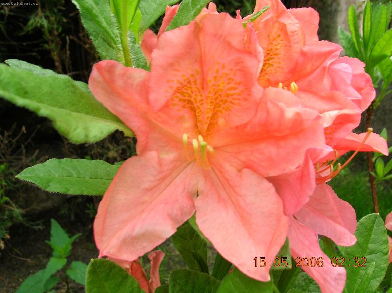 Foto: kr�sa p��rody