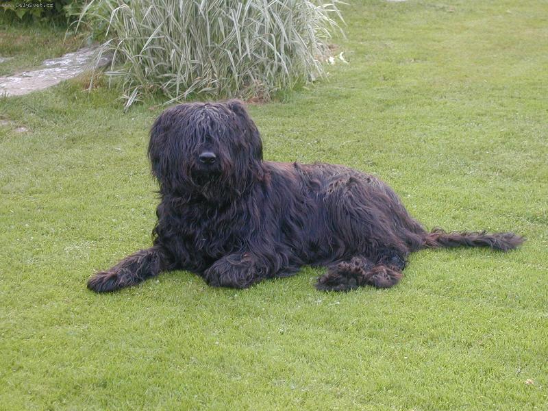 Foto: fakt vid�m!!!