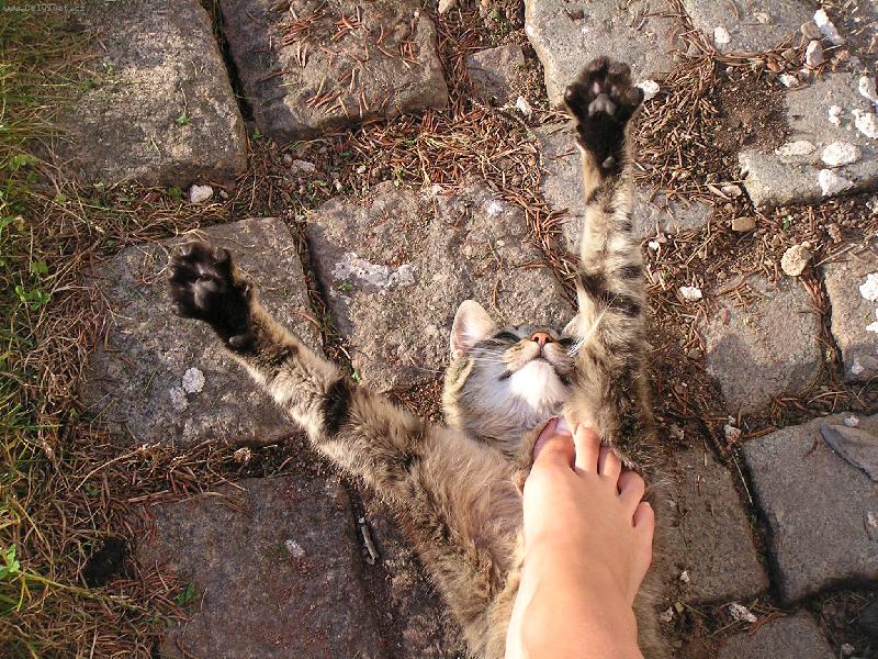 Foto: nejd��v po�adn� prot�hnout