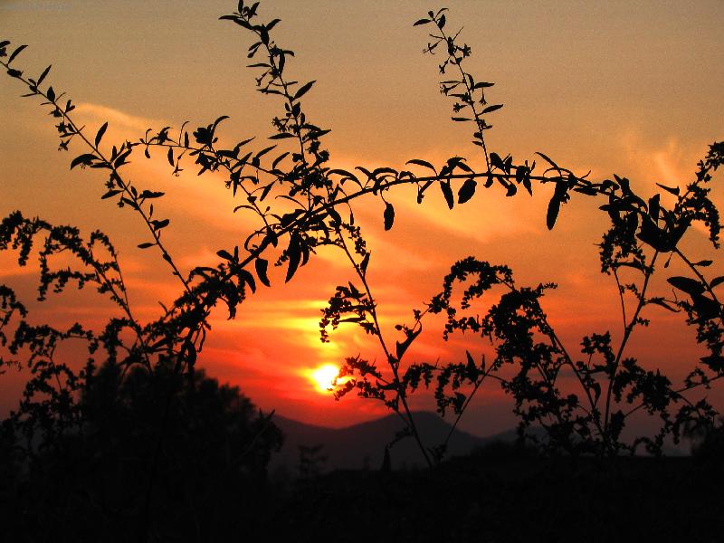 Foto: z�pad slunce