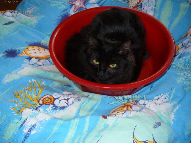 Foto: Mike�-Pohodln� span�