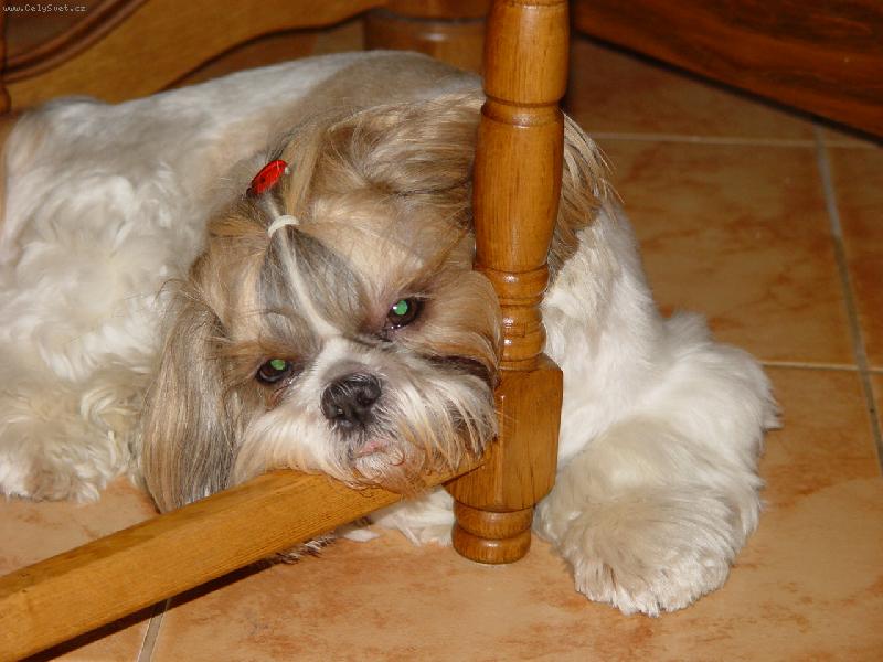 Foto: jsem unaven�