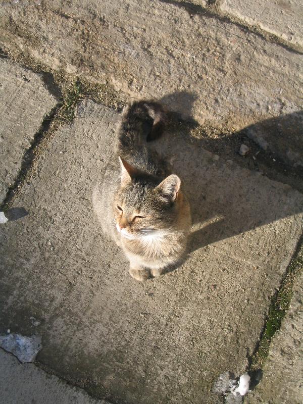 Foto: zimn� slun��ko