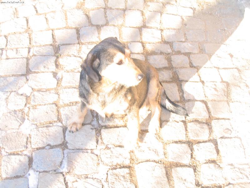 Foto: zimn� slun��ko