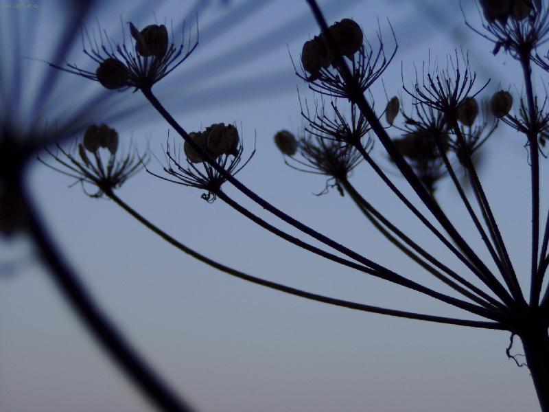 Foto: podzimn� n�lada