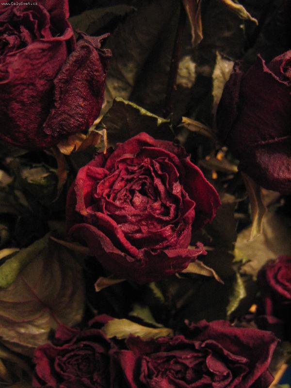 Foto: su�en� r��e