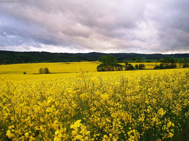 Foto: �epka-Lounsko