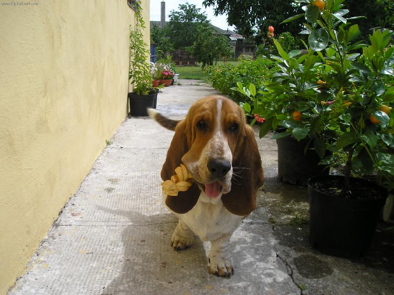 Foto: M�m n�co v puse-Bessy