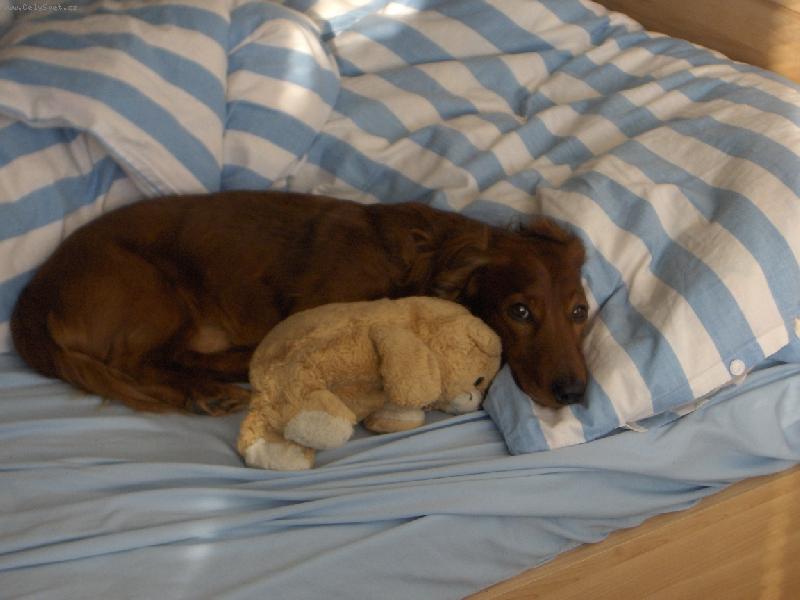 Foto: Bobinka a M��a jsou kamar�di