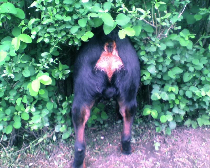 Foto: P---l v k�ov�