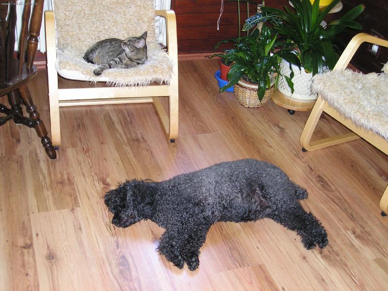 Foto: opova� se zvednout ...