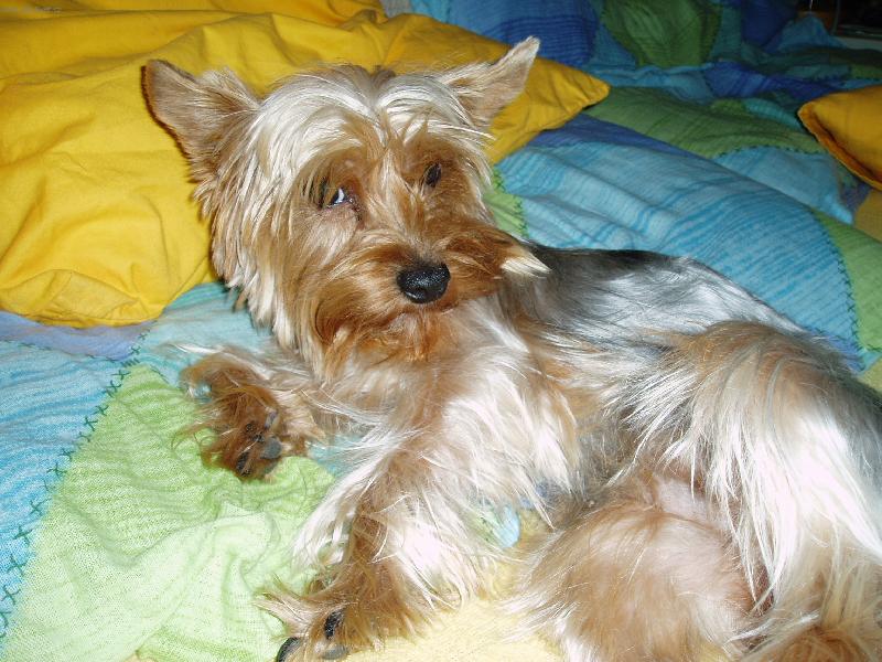 Foto: Maggie-jork��r-Neru�te, tady v t� posteli sp�m j�!