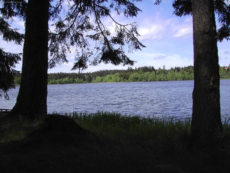 Foto: S�kovec-rybn�k