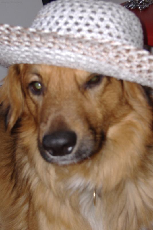 Foto: Max��ek-Max��ek je top model, ale pr� se nechce p�edv�d�t