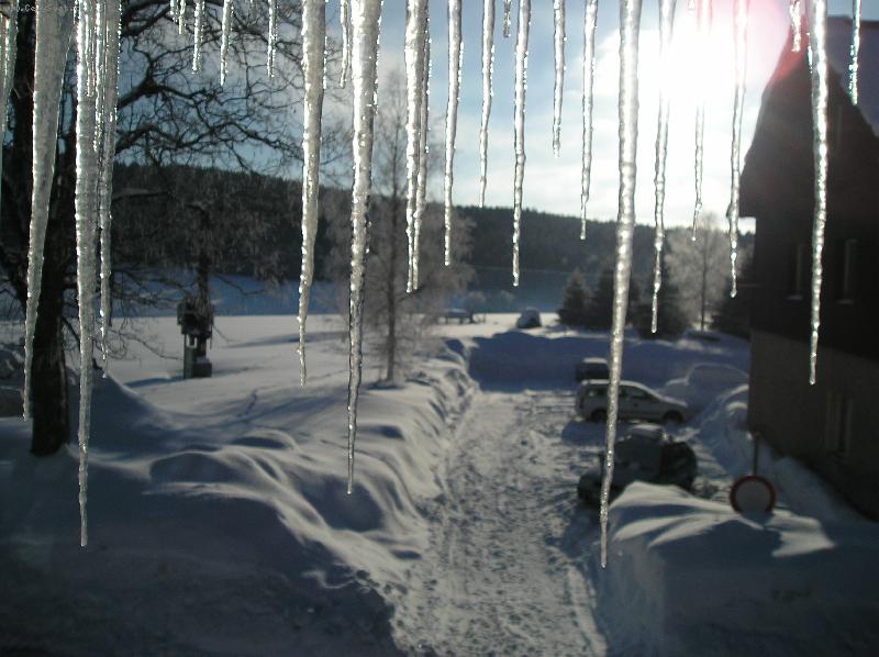 Foto: leto�n� jaro na �umav�