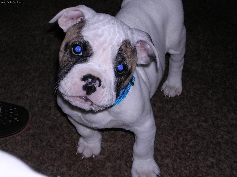 Foto: tak m� tady m�te