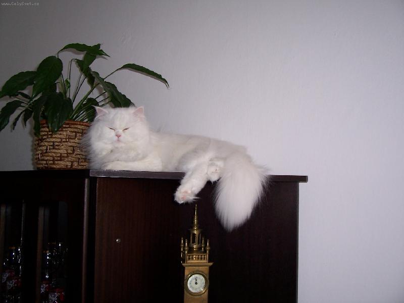 Foto: Odpo��v�n�